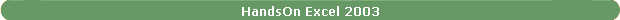 HandsOn Excel 2003