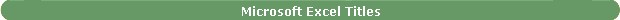 Microsoft Excel Titles
