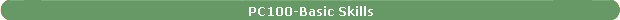 PC100-Basic Skills